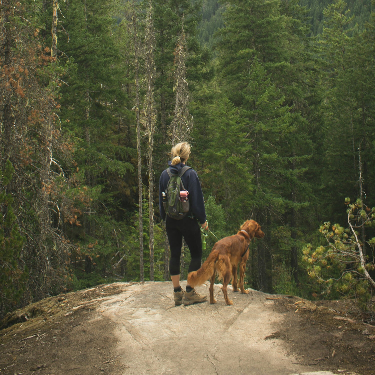 Women looking out into trees hiking in the woods with a brown dog